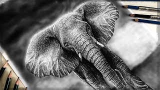 Drawing a realistic ELEPHANT | Yehoshua Shellim