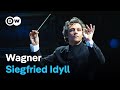 Wagner: Siegfried Idyll I Pedro Halffter and the Ensemble Orchestral de Paris