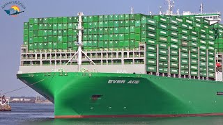 BIGGEST CONTAINER SHIP EVER ACE Maiden call at ROTTERDAM Port - Shipspotting Sep