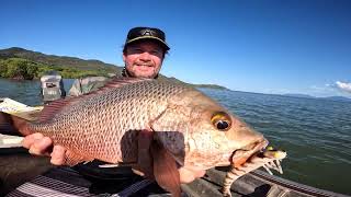 Luring Magnetic Island flats with special guest Stevo