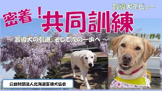 北海道盲導犬協会　密着！共同訓練　～盲導犬の引退、そして次の一歩へ～