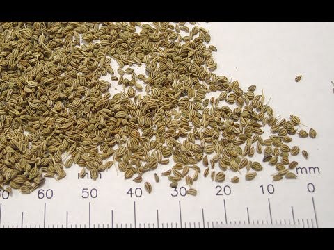 Foods to increase appetite in babies, toddlers and Kids Foods to increase appetite in babies, toddlers and Kids