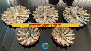 চ্যাপা শুটকি কত প্রকার ও কি কি