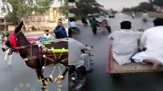 Jhelum ghada gari race 2021