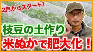 家庭菜園や農園の枝豆栽培は早植えで害虫忌避！米ぬかを使う土作りのコツと枝豆の育て方！【農家直伝】