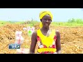 project 254 episode 38 turkana county irrigation schemes