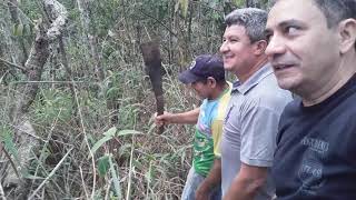 Cerrado, achamos uma nascente, privilégio de ver o brotar da Água.