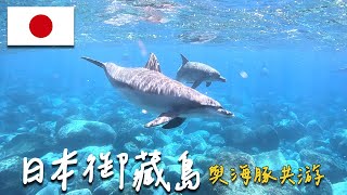 【御藏島海豚共游🇯🇵Swimming with Dolphins in Mikurajima】東京和野生海豚近距離一起游泳🐬 | 日本Vlog #5