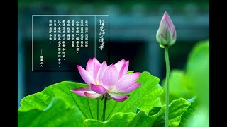 20210519 Basic Understanding of Lotus Sutra_Part 1