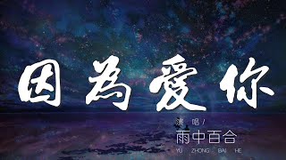 因爲愛你 - 雨中百合『我愛你那麼多卻把我的心傷透』【動態歌詞Lyrics】