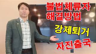 [9회] 불법체류자 자진신고 후 1개월 재입국 사례 /자진출국 합법화  벌금 단속 강제퇴거