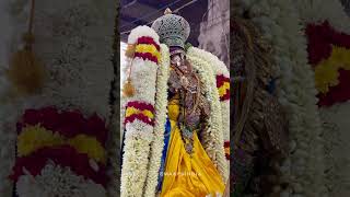 Sri Varadhar - Yali Vaganam