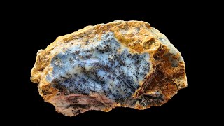 Rough Rocks for Lapidary - Dendritic Opals