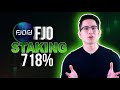 BEST CRYPTO GEM in 2024 BULLRUN 🚀 Fjord Foundry Coin Staking 💰 Stake FJO