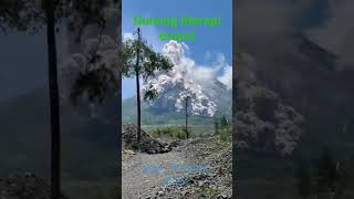 Gunung Merapi erupsi #shortvideo #erupsi #merapi