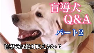 盲導犬Q\u0026A パート2