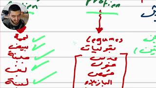 الجهاز الهضمي 🍔🍽️ - الجزء الأول - محمد جبر شرح شابتر 41 | Bio 105 #6 🧪