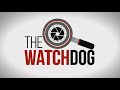 The Watchdog |  A week in the life of the suspended Public Protector Busisiwe Mkhwebane