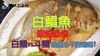 就是愛海鮮 【野生白鯧魚圍爐必備真的來了啦!!!】你知道外面很多用斗鯧賣你白鯧的價格嗎?趕緊進來看 堅持過年不漲價抗漲啦 過年飆漲一公斤$1500不誇張 備貨五千隻售完就要等明年了!