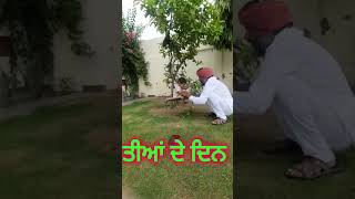 MEHAR SIDHU ਮੇਹਰ ਸਿੱਧੂ ਨੂੰ ਪੀਂਘ ਪਾ ਕੇ ਦਿੱਤੀ ਦੋ ਦਾਦਿਆਂ ਨੇ