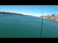 new niagara river 3 way lure concept steelhead smashes it on first drop