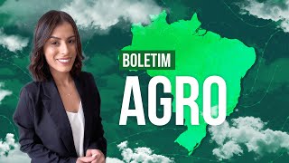 Boletim Agro - Chuva continua se espalhando cada vez mais pelo BR