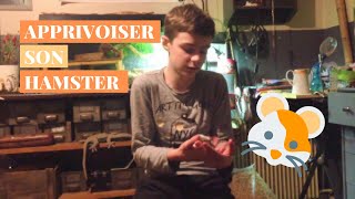 Comment apprivoiser son hamster