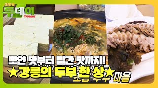 모두가 반한 강릉의 맛! 푸짐하게 차려낸 두부 한 상★ #생방송투데이 #LiveToday #SBSstory