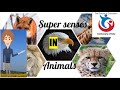 Super Sense Organs in Animals.