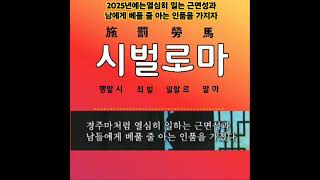 2025년에는열심히 일는 근면성과 남에게 베풀 줄 아는 인품을 가지자  #shorts #근면성 #배려 #양보 #love #한자성어 #명언 #명언모음 #공치는춘식이