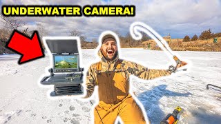Ice Fishing My BACKYARD POND with an UNDERWATER CAMERA!!! (INSANE FOOTAGE) - CATCH CLEAN COOK