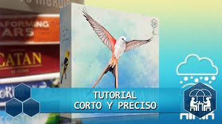 Cómo jugar: Wingspan - Tutorial Corto y Preciso