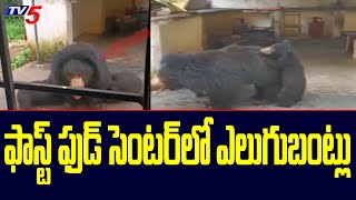 Srikakulam News: ఫాస్ట్ ఫుడ్ సెంటర్ లో ఎలుగుబంట్లు | Bears Hulchul | TV5 News Digital