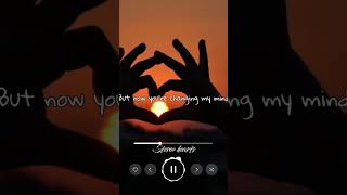 Stereo Hearts - Gym Class Heroes ( ft. Adam Levine) Stereo Heart|WhatsApp Status |lyrics