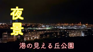 【港の見える丘公園🌉夜景】iphone11PROの実力とDoubleTakeで夜景を撮影しました！