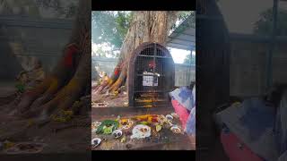 sri pallikondeswara swamy temple in surutipalii