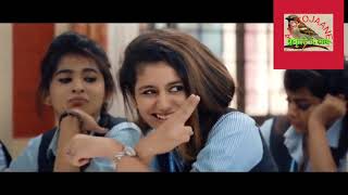 Priya Prakash Varrier Lovers Day Movie Songs   Pilla Nee Venakaley Song Teas