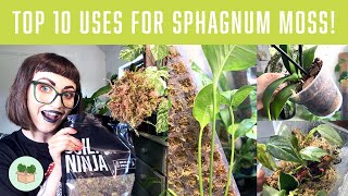 TOP 10 USES FOR SPHAGNUM MOSS!🪴Houseplant Tips \u0026 Tricks