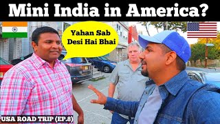 Mini INDIA in AMERICA 🇺🇸 🇮🇳 | NEW JERSEY | USA Road Trip (Ep.8)