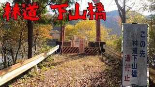 室生ダムに架かる通行止めの吊り橋(下山橋) 気になるので対岸まで林道を歩いてみた