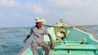 கடலில் அயிலை மீனை இந்த வலை விட்டு இப்படி தான் பிடிப்போம்/AYILAIFISH CATCHING FISHNET USING METHOED