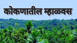 कोकणातील  म्हाळवस  | गावातील म्हाळ | 𝐤𝐨𝐤𝐚𝐧𝐚𝐭𝐢𝐥 𝐦𝐡𝐚𝐥