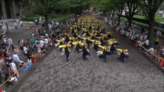 【公式】関東学院大学”誇咲”2016「昴」　原宿表参道元氣祭スーパーよさこい2016　NHKストリート