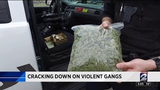 Cracking down on violent gangs