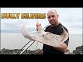 Silver Bars - Sully Island