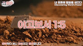 jj암송-야고보서 1:5 (한구절)