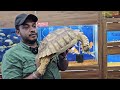 tortoise price in india at karnataka aquarium