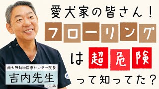 えっ！フローリングって危険なの！？「滑る床」と愛犬の関係について獣医師さんに聞いてみた！