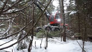 Abatteuse Komatsu 931 CX à huit roue dans une coupe partielle.