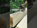 Stihlms382 chainsaw beautiful board size cutting skills #chainsaw #woodworking #shorts